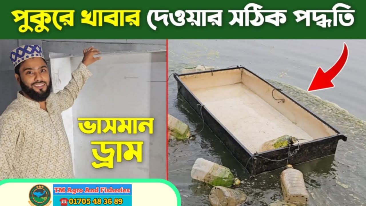 Trey Fish Feeding 6'/4'