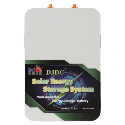 DJDC 48V 100Ah IPS LiFePO4 Battery